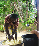 Rape à manioc