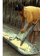 rape manioc